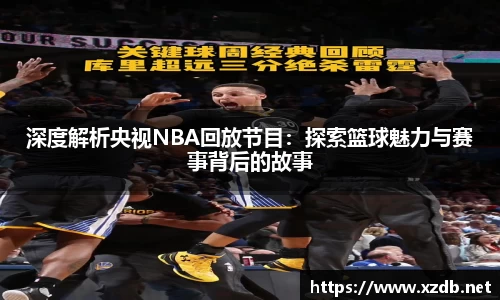 深度解析央视NBA回放节目：探索篮球魅力与赛事背后的故事